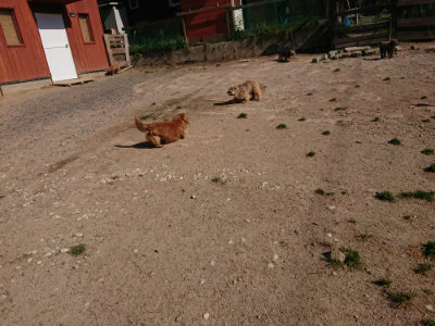 f:id:roukenhome-ann:20190524085054j:plain