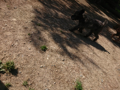 f:id:roukenhome-ann:20190524085115j:plain