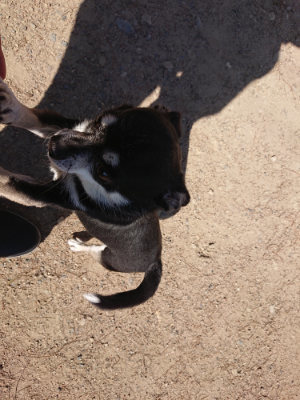 f:id:roukenhome-ann:20190524085126j:plain