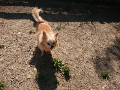f:id:roukenhome-ann:20190524085139j:plain