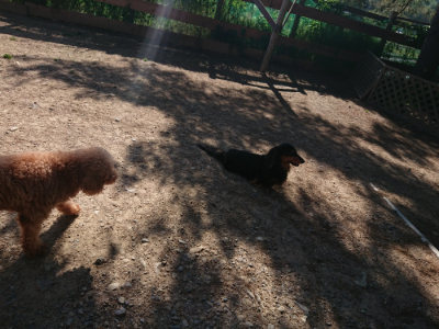 f:id:roukenhome-ann:20190524085203j:plain