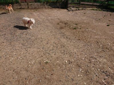 f:id:roukenhome-ann:20190524085227j:plain