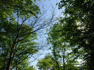 f:id:roukenhome-ann:20190524085310j:plain
