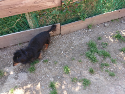 f:id:roukenhome-ann:20190524085316j:plain