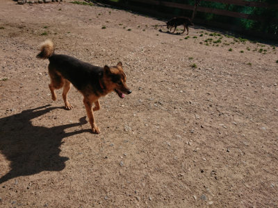 f:id:roukenhome-ann:20190524085329j:plain
