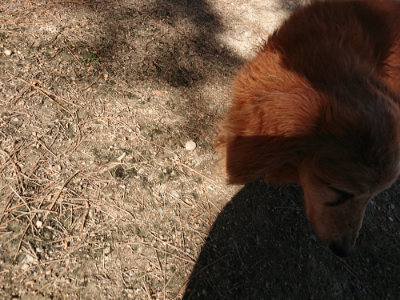 f:id:roukenhome-ann:20190524085334j:plain