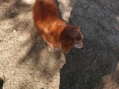 f:id:roukenhome-ann:20190524085339j:plain