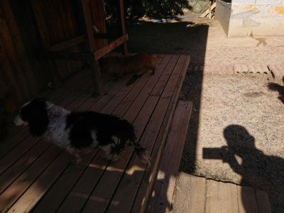 f:id:roukenhome-ann:20190524085344j:plain