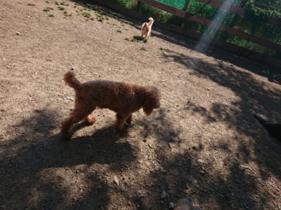 f:id:roukenhome-ann:20190524085401j:plain