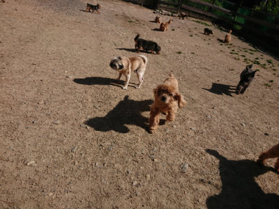 f:id:roukenhome-ann:20190524085439j:plain