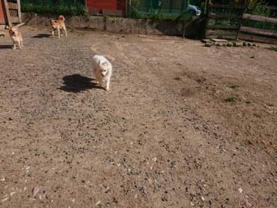f:id:roukenhome-ann:20190524085444j:plain