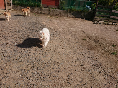 f:id:roukenhome-ann:20190524085452j:plain