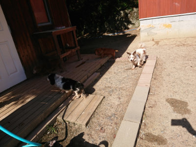 f:id:roukenhome-ann:20190524085516j:plain