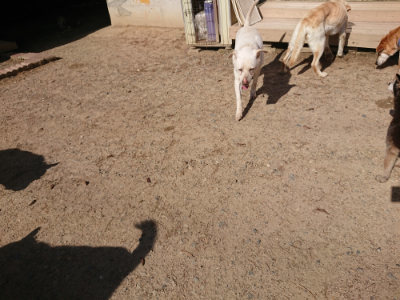 f:id:roukenhome-ann:20190524085520j:plain