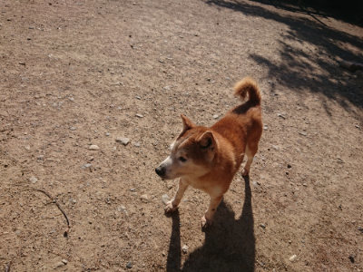 f:id:roukenhome-ann:20190524085525j:plain