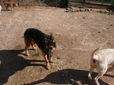 f:id:roukenhome-ann:20190524085538j:plain