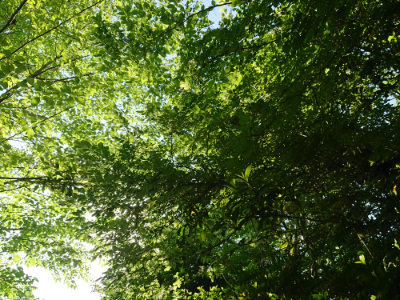 f:id:roukenhome-ann:20190524085545j:plain