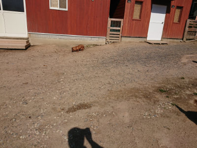 f:id:roukenhome-ann:20190524085555j:plain