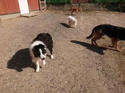 f:id:roukenhome-ann:20190524085601j:plain