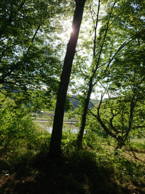 f:id:roukenhome-ann:20190524085608j:plain