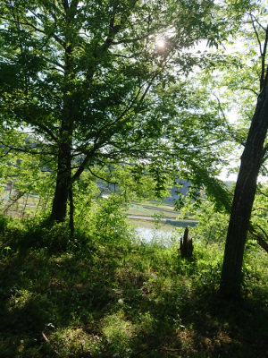 f:id:roukenhome-ann:20190524085629j:plain