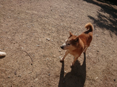 f:id:roukenhome-ann:20190524085700j:plain