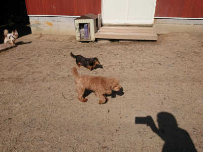 f:id:roukenhome-ann:20190524085709j:plain