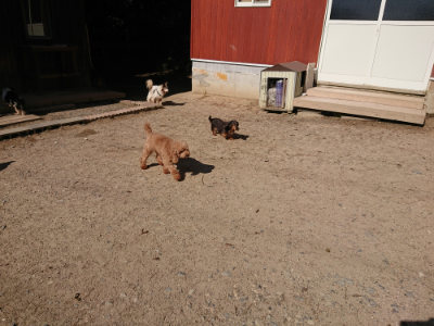 f:id:roukenhome-ann:20190524085730j:plain