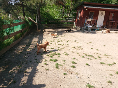 f:id:roukenhome-ann:20190524085749j:plain