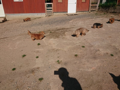 f:id:roukenhome-ann:20190524085755j:plain