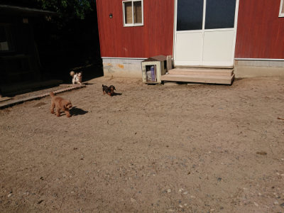 f:id:roukenhome-ann:20190524085800j:plain