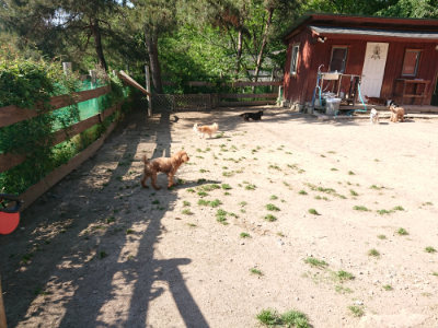 f:id:roukenhome-ann:20190524085814j:plain