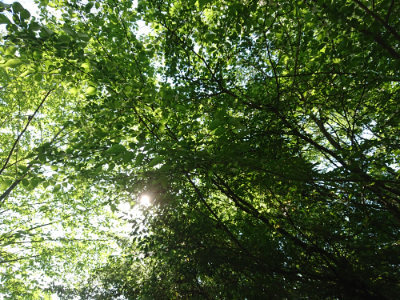 f:id:roukenhome-ann:20190524085830j:plain