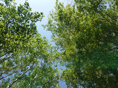 f:id:roukenhome-ann:20190524085846j:plain