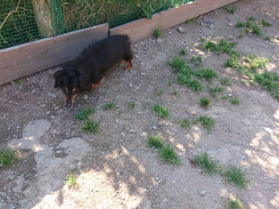 f:id:roukenhome-ann:20190524085854j:plain