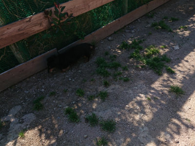 f:id:roukenhome-ann:20190524085924j:plain