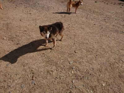 f:id:roukenhome-ann:20190524085929j:plain