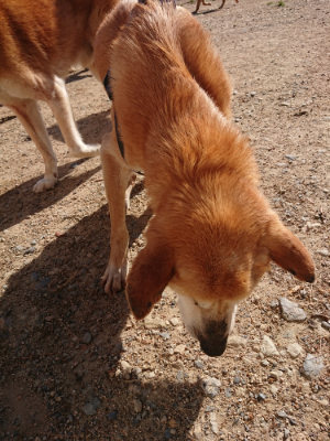 f:id:roukenhome-ann:20190524093316j:plain