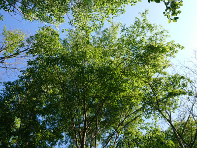 f:id:roukenhome-ann:20190524093343j:plain