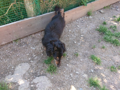 f:id:roukenhome-ann:20190524093358j:plain