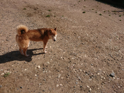 f:id:roukenhome-ann:20190524093405j:plain