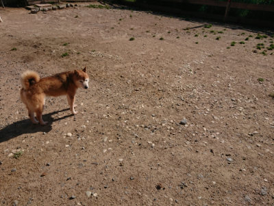 f:id:roukenhome-ann:20190524093424j:plain