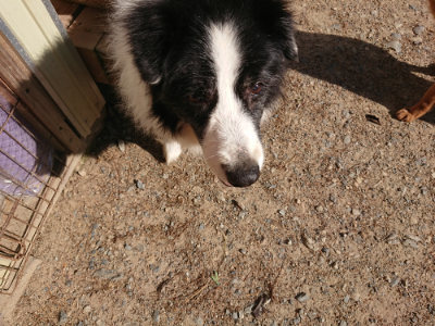 f:id:roukenhome-ann:20190524093437j:plain