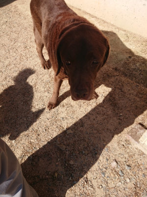 f:id:roukenhome-ann:20190524093444j:plain