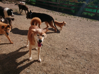 f:id:roukenhome-ann:20190524093503j:plain