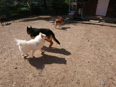 f:id:roukenhome-ann:20190524093529j:plain