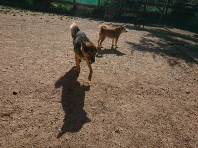 f:id:roukenhome-ann:20190524093617j:plain