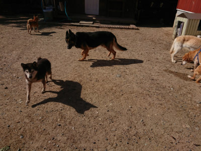 f:id:roukenhome-ann:20190524093649j:plain