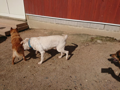 f:id:roukenhome-ann:20190524093721j:plain
