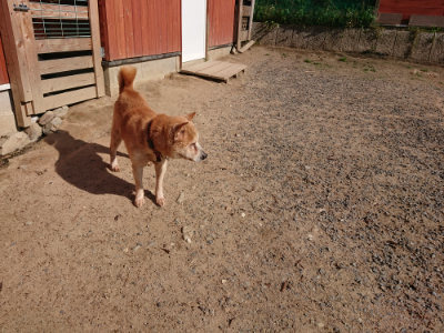 f:id:roukenhome-ann:20190524093727j:plain